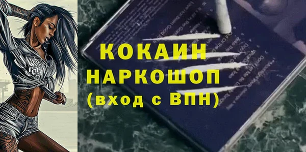 стаф Алзамай