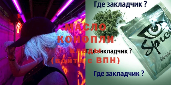 молекула духа Алексеевка
