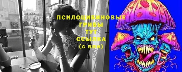 молекула духа Алексеевка