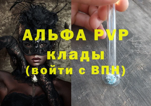 стаф Алзамай