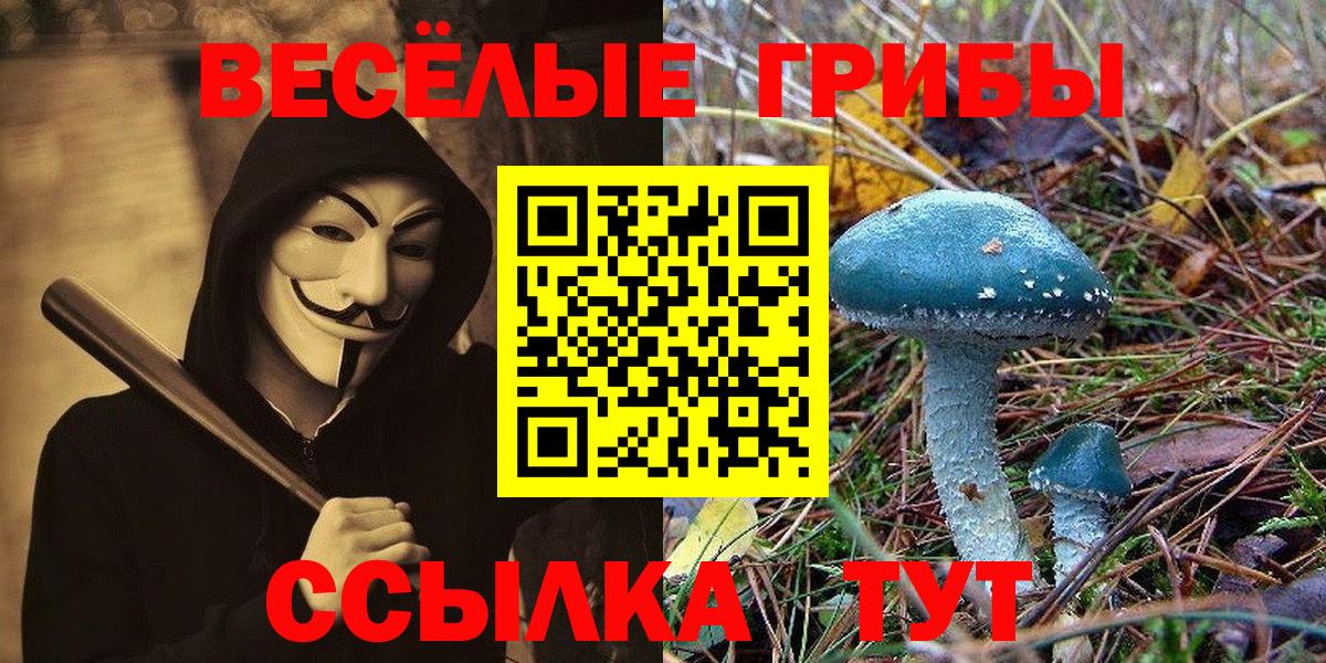 Галлюциногенные грибы MAGIC MUSHROOMS Губкин